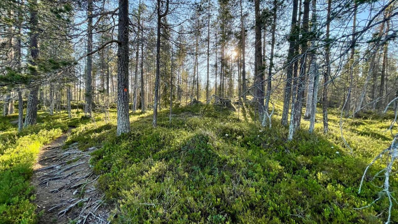Hotel Lapiosalmi Wilderness Center Posio Exterior foto